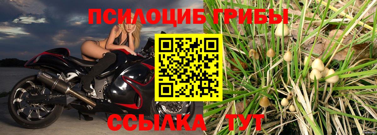 Феодосия  даркнет сайт  Вход с VPN  Псилоцибиновые грибы Cubensis 